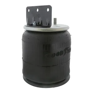 Pai 0692 Infinity 1R12-401 Air Spring — 2