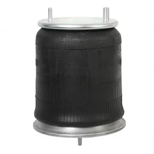 Pai 0693 Infinity 1R12-603 Air Spring