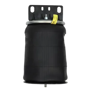 Pai 0696 Infinity 1R12-403 Air Spring — 5