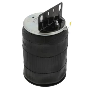 Pai 0696 Infinity 1R12-403 Air Spring