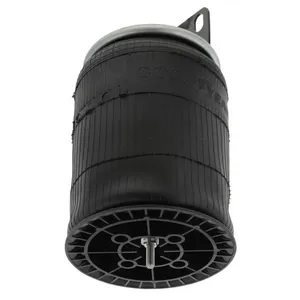 Pai 0696 Infinity 1R12-403 Air Spring — 2
