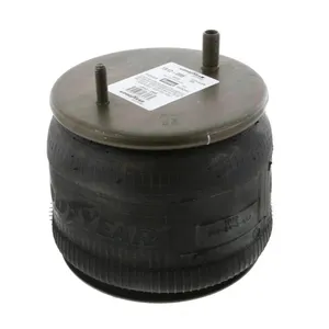 Pai 0699 Infinity 1R12-095 Air Spring