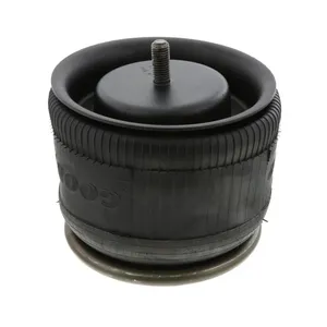 Pai 0699 Infinity 1R12-095 Air Spring — 2