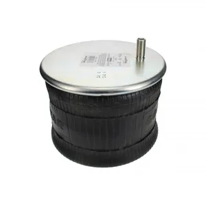 Pai 0713 Infinity 1R13-119 Air Spring — 4