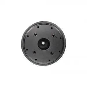 Pai 0713 Infinity 1R13-119 Air Spring — 6