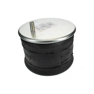 Pai 0713 Infinity 1R13-119 Air Spring