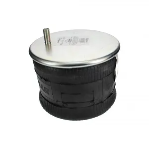 Pai 0713 Infinity 1R13-119 Air Spring — 2