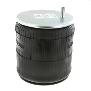 Pai 0723 Infinity 1R13-118 Air Spring