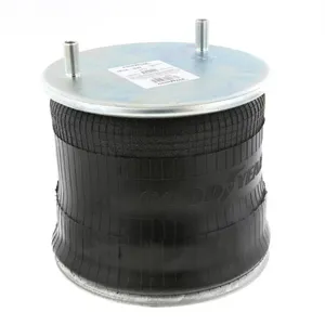 Pai 0724 Infinity 1R14-039 Air Spring