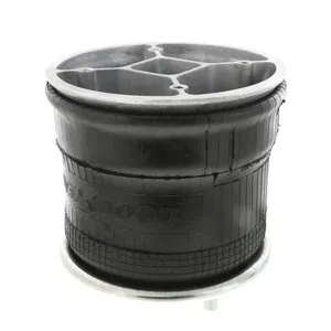 Pai 0724 Infinity 1R14-039 Air Spring — 2