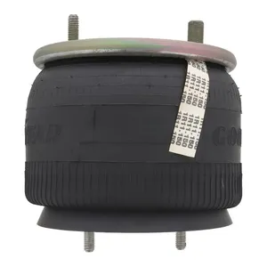 Pai 0725 Infinity 1R11-150 Air Spring — 4