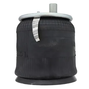Pai 0744 Infinity 1R12-356 Air Spring — 4