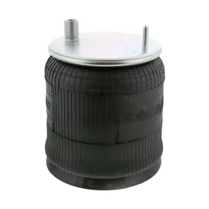 Pai 0744 Infinity 1R12-356 Air Spring