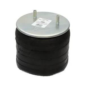 Pai 0756 Infinity 1R14-172 Air Spring