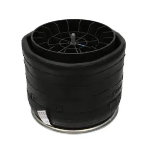 Pai 0756 Infinity 1R14-172 Air Spring — 2