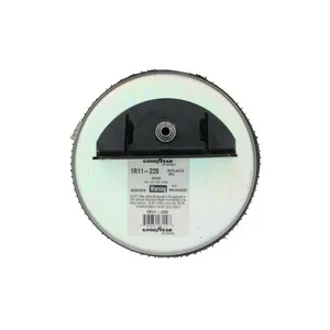 Pai 0763 Infinity 1R11-220 Air Spring — 3