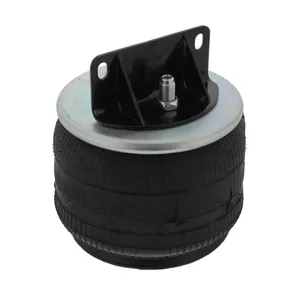 Pai 0763 Infinity 1R11-220 Air Spring