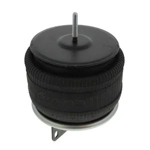 Pai 0763 Infinity 1R11-220 Air Spring — 2