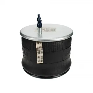Pai 0771 Infinity 1R13-124 Air Spring — 4