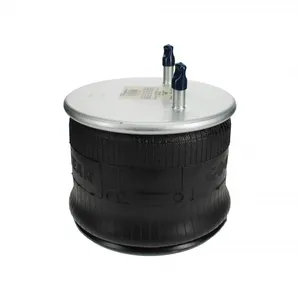 Pai 0771 Infinity 1R13-124 Air Spring — 2