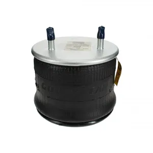 Pai 0771 Infinity 1R13-124 Air Spring — 3