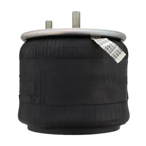 Pai 0772 Infinity 1R13-159 Air Spring — 4