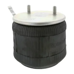 Pai 0772 Infinity 1R13-159 Air Spring