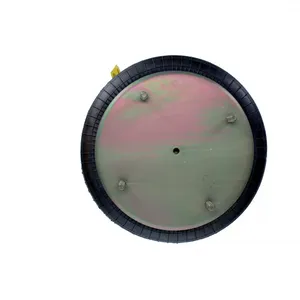 Pai 0776 Infinity 2B14-359 Air Spring — 5