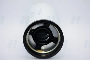 Fuel Filter - FF5776, 2864993, BF9885 — 3