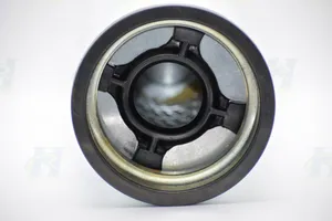 Fuel Filter - FF5776, 2864993, BF9885 — 2