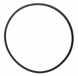 FP362177 - O-Ring | Cummins | ISX | Diesel Engine