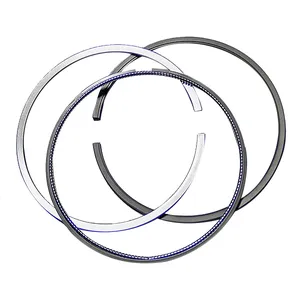 Cummins Piston Ring Set, New (FP4352282)