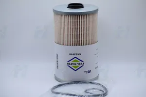 Water Separator Fuel Filter - FS19765, PF7930 — 2