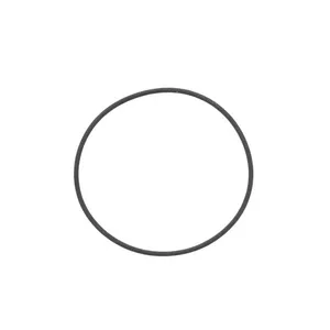 Pai 2947 Mack 56AX534 O-Ring — 2