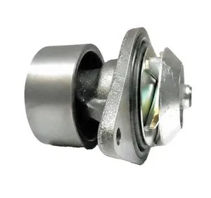 Water Pump for Case OEM J286278