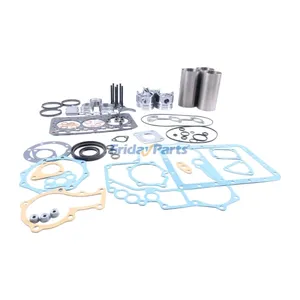 Overhaul Rebuild Kit for Kubota Engine D600 — 2