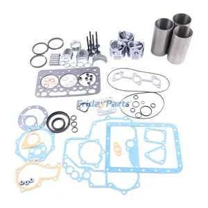 Overhaul Rebuild Kit for Kubota Engine D600