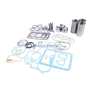 Overhaul Rebuild Kit for Kubota Engine D600 — 3