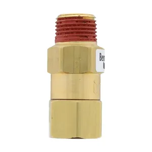 Pai 4064 Benchmark 800372 Check Valve — 3