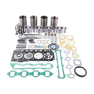Overhaul Rebuild Kit for Komatsu Engine 4D84E