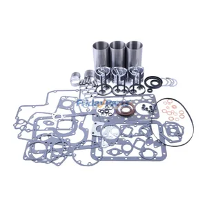 Overhaul Rebuild Kit for Kubota Engine D850 D850BH Tractor B40 B1400 RX1900 B1550E B1502 B1550 B6200E Bultra B1-15