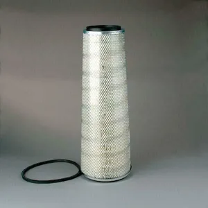 P129396
