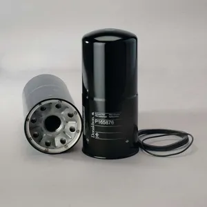 P165876