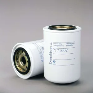 P171602