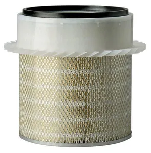 P181000 - Air Filter