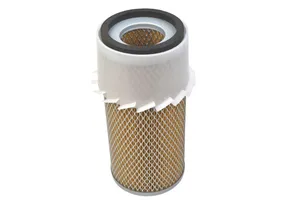 Donaldson Air Filter Replacement - P181052