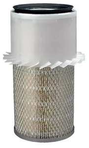 P181054 - Air Filter