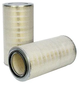 P181070 - Air Filter