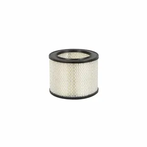 Donaldson Air Filter for Mercedes-Benz P500244