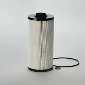 P502424
